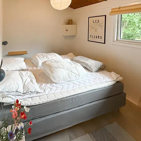 Cozy In With Wifi *